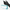 files/all4med-crne-nitrilne-rokavice-za-enkratno-uporabo-932392.png