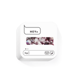 HEY LOVE - Flash Fish - IV 5g - Bellu