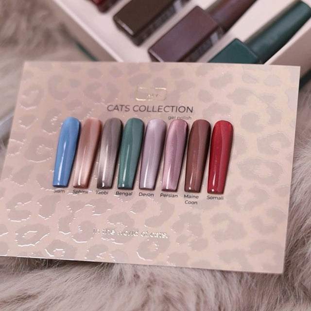 HEY LOVE - Gel polish - Cats collection - Bellu