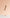 HEY LOVE HEYLOVE - UV Lamp For Manicure - Rose Gold - Bellu