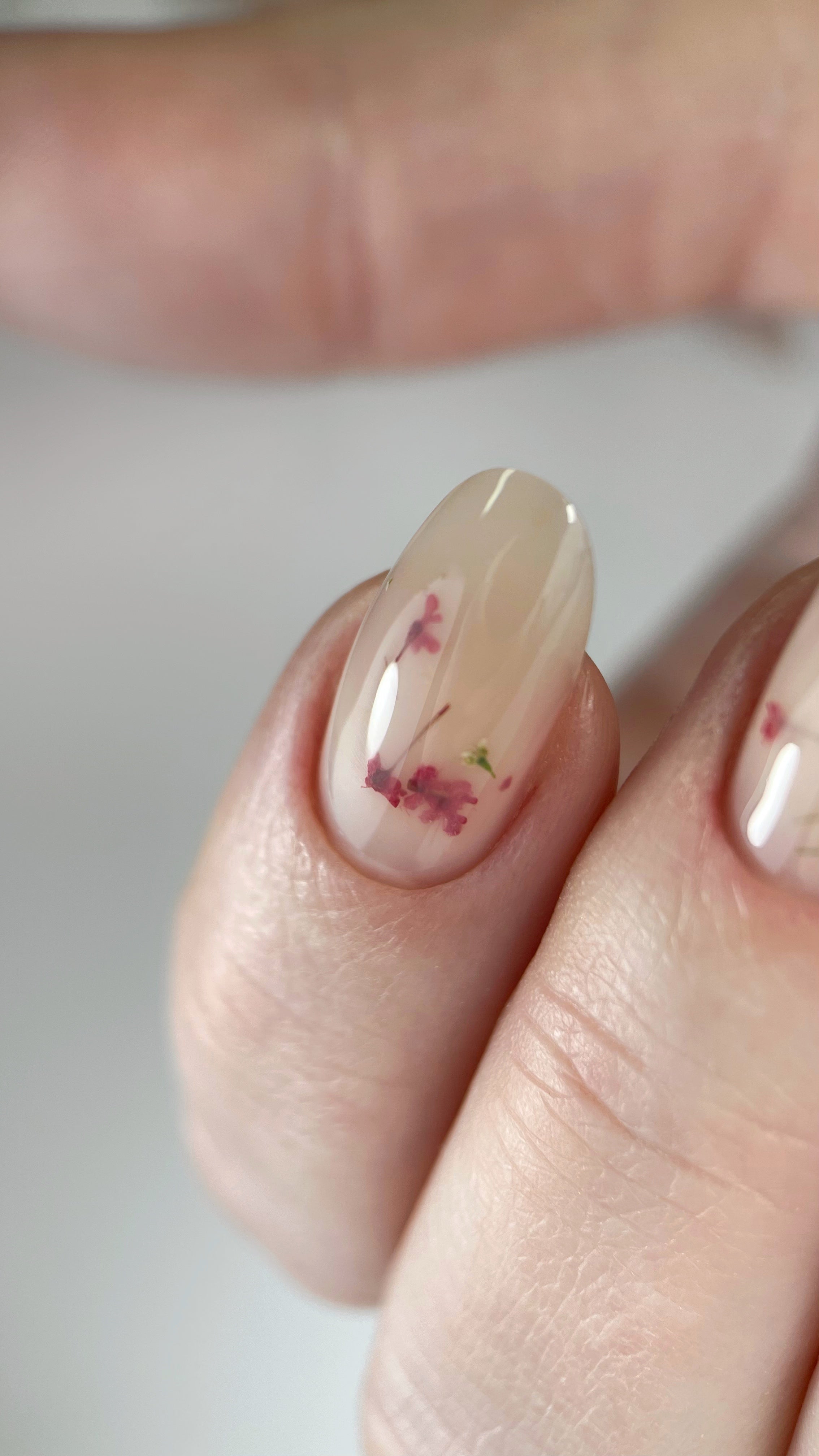SAGA  Liquid Floral Gel  05 pobarvani nohti | Bellu